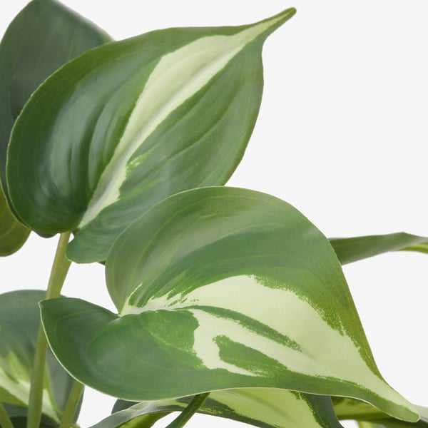 FEJKA Artificial potted plant, in/outdoor Golden Pothos, 12 cm
