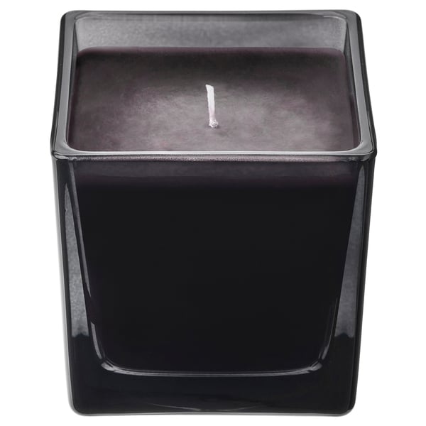 FRAMFÄRD Scented candle in glass, pine/black, 8 cm