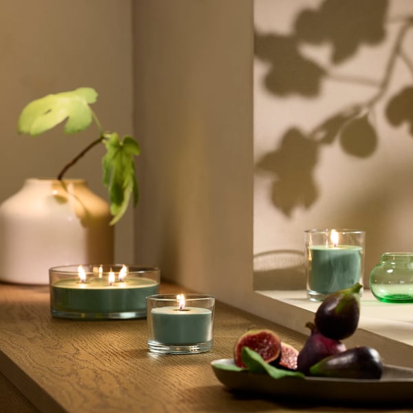 LOTSFÅGEL Scented candle in glass, 3 wicks, Fig leaf green, 25 hr