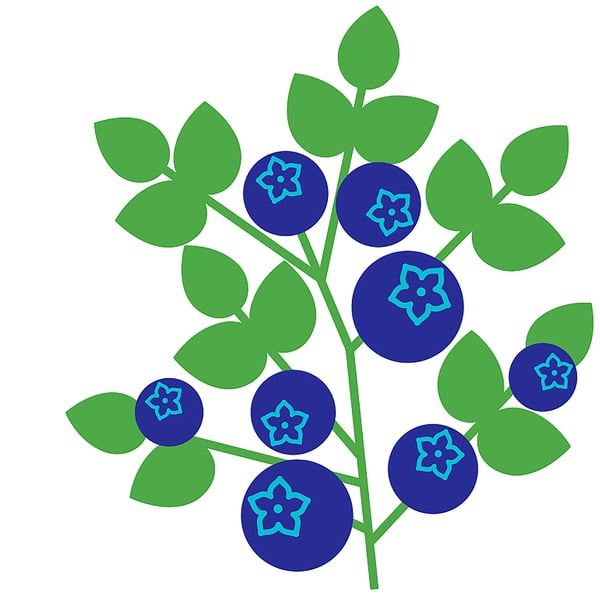 MEDKÄMPE Scented candle in glass, cat/Freshly-picked blueberries blue, 7.5 cm