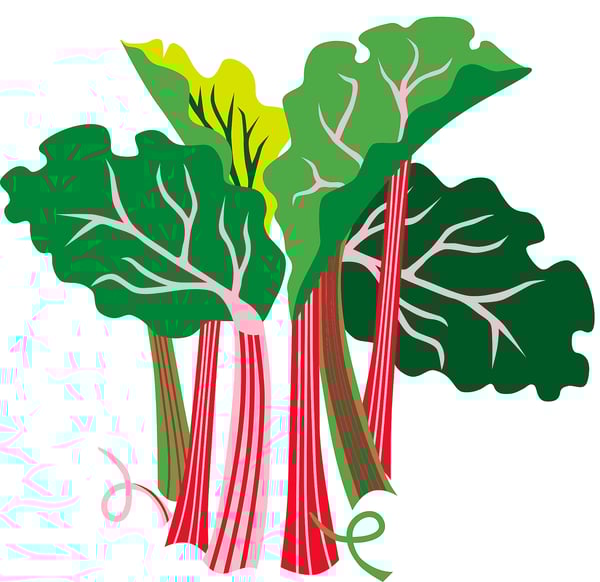 MEDKÄMPE Scented candle in glass, Rhubarb elderflower/patterned black/white, 7.5 cm