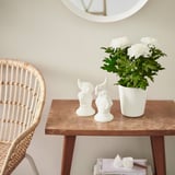 NEJKON Plant pot, white, 12 cm