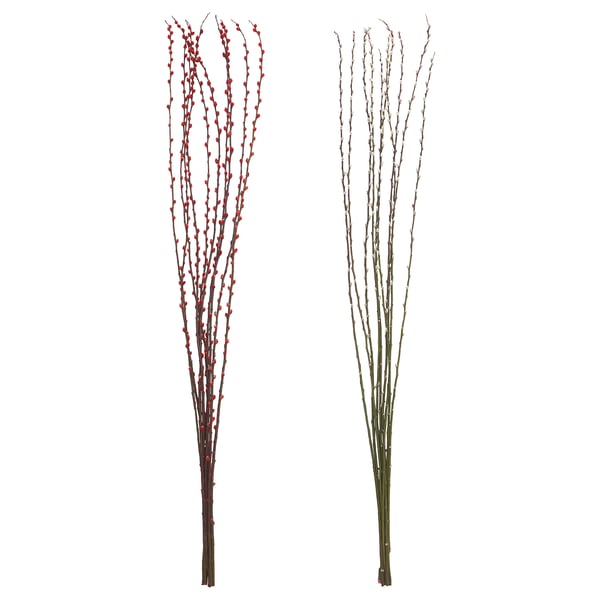 SALIX CAPREA Plant, Willow assorted colours, 180 cm
