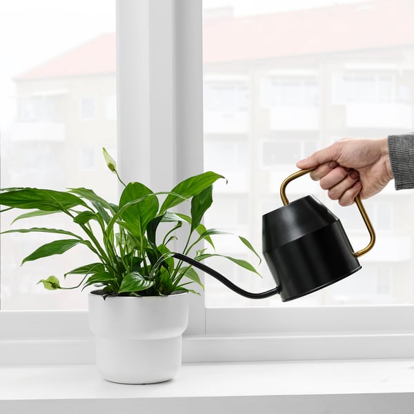 VATTENKRASSE Watering can, black/gold-colour, 0.9 l