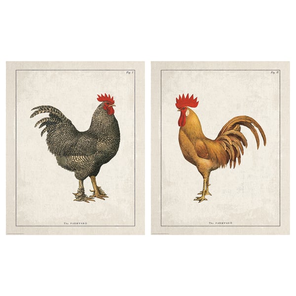 BILD Poster, ayam-ayam di kawasan ladang, 40x50 cm