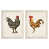 BILD Poster, ayam-ayam di kawasan ladang, 40x50 cm