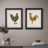 BILD Poster, ayam-ayam di kawasan ladang, 40x50 cm
