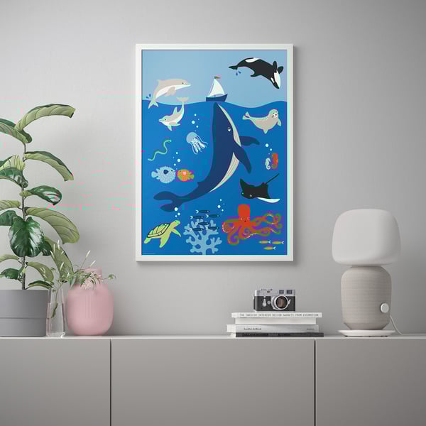 BILD Poster, haiwan laut, 50x70 cm