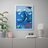 BILD Poster, haiwan laut, 50x70 cm