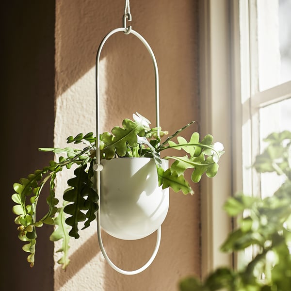 CHILISTRÅN Bekas menanam yg digantung, dalam/luar  putih, 12 cm