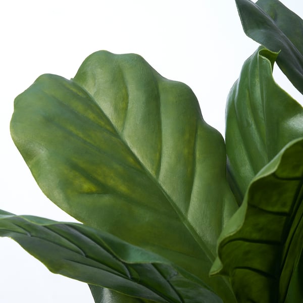 FEJKA Pokok tiruan berpasu, dalam/luar Magnolia, 23 cm