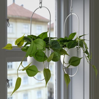 FEJKA Tanaman tiruan berpasu, dalam/luar Golden Pothos/digantung, 12 cm