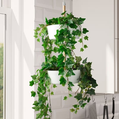 FEJKA Tumbuhan tiruan berpasu, dalam/luar/digantung Pokok Ivy, 12 cm