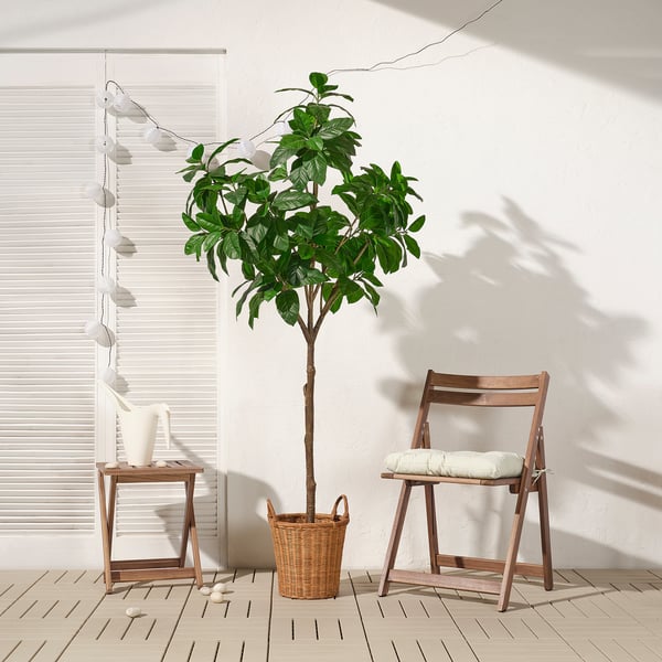FEJKA Tumbuhan tiruan berpasu, dalam/luar Magnolia, 23 cm