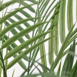 FEJKA Tumbuhan tiruan berpasu, dalam/luar  Palma Areca, 12 cm