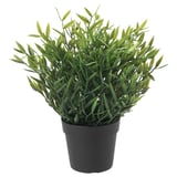FEJKA Tumbuhan tiruan berpasu, dalam/luar  Pogonatherum, 9 cm