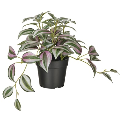 FEJKA Tumbuhan tiruan berpasu, dalam/luar Rumput aur, 9 cm