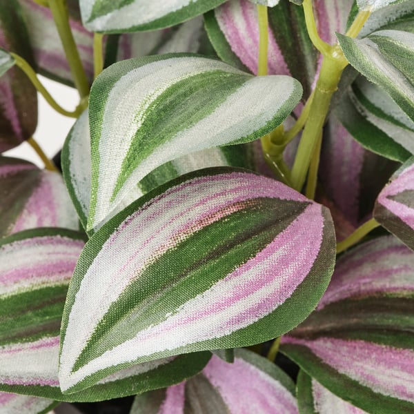 FEJKA Tumbuhan tiruan berpasu, dalam/luar Rumput aur, 9 cm