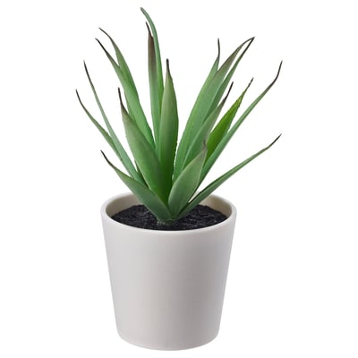 FEJKA Tumbuhan tiruan berpasu dengan pasu, dalam/luar Sukulen, 6 cm