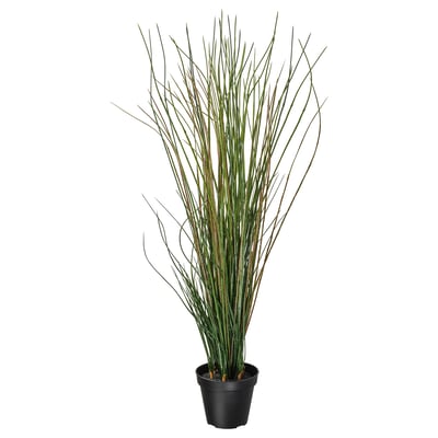 FEJKA Tumbuhan tiruan berpasu, rumput, 17 cm