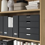 FJÄDERHARV Peti mini dengan 2 laci, antrasit, 32x25 cm