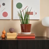 KLOTLÖNN Pasu tanaman beralas, dalam/luar/merah/coklat kuning air muda, 12 cm