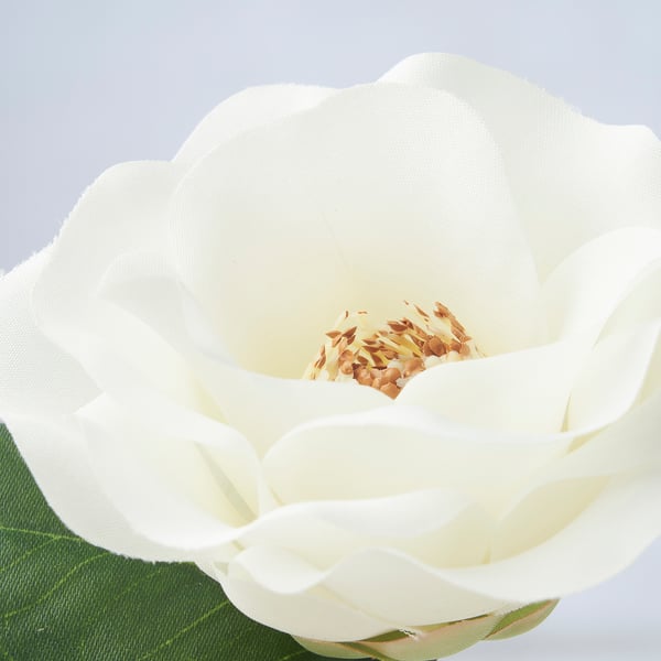 SMYCKA Bunga tiruan, dalam/luar /Camellia putih, 28 cm