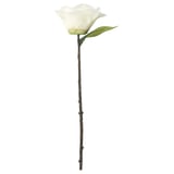 SMYCKA Bunga tiruan, dalam/luar /Camellia putih, 28 cm