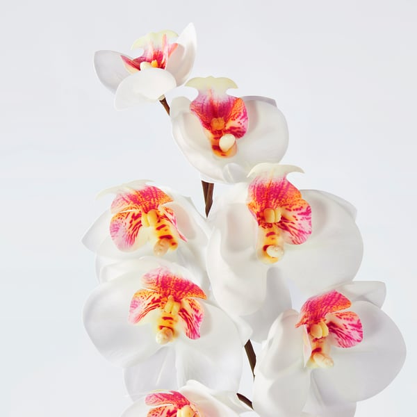 SMYCKA Bunga tiruan, dalam/luar/Orkid putih, 60 cm
