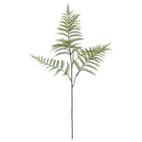 SMYCKA Ranting hiasan, dalam/luar/paku-pakis, 63 cm