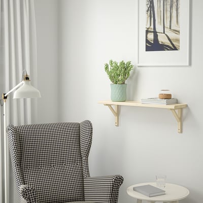 TRANHULT / SANDSHULT Para-para dinding, aspen, 80x20 cm