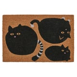 VÄGTYP Alas kaki, kucing hitam/semula jadi, 40x60 cm