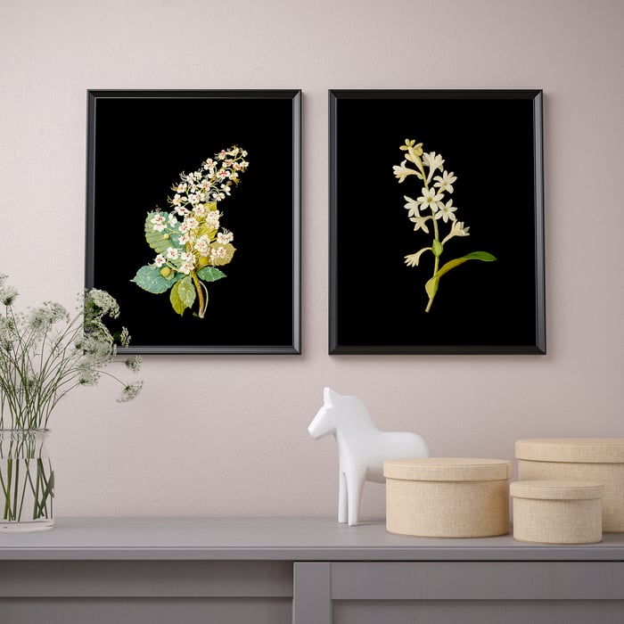 BILD poster, Flora Delanica II, 40x50 cm IKEA