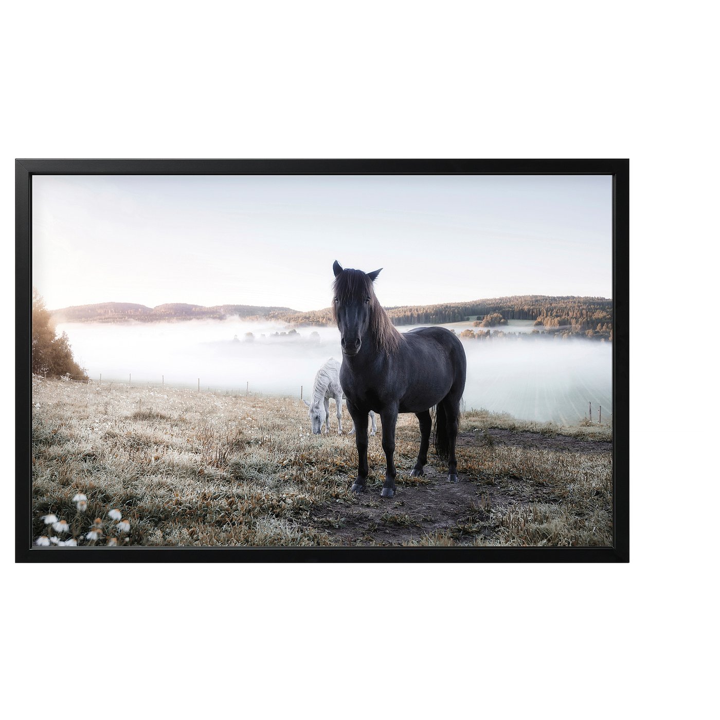 Picture with frame, BJÖRKSTA, grazing horses, 118x78 cm IKEA
