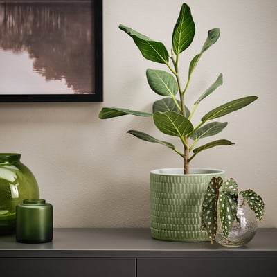 CHIAFRÖN green ceramic planter holds mid-sized houseplant, textured design, fits well among decorative vases and art.