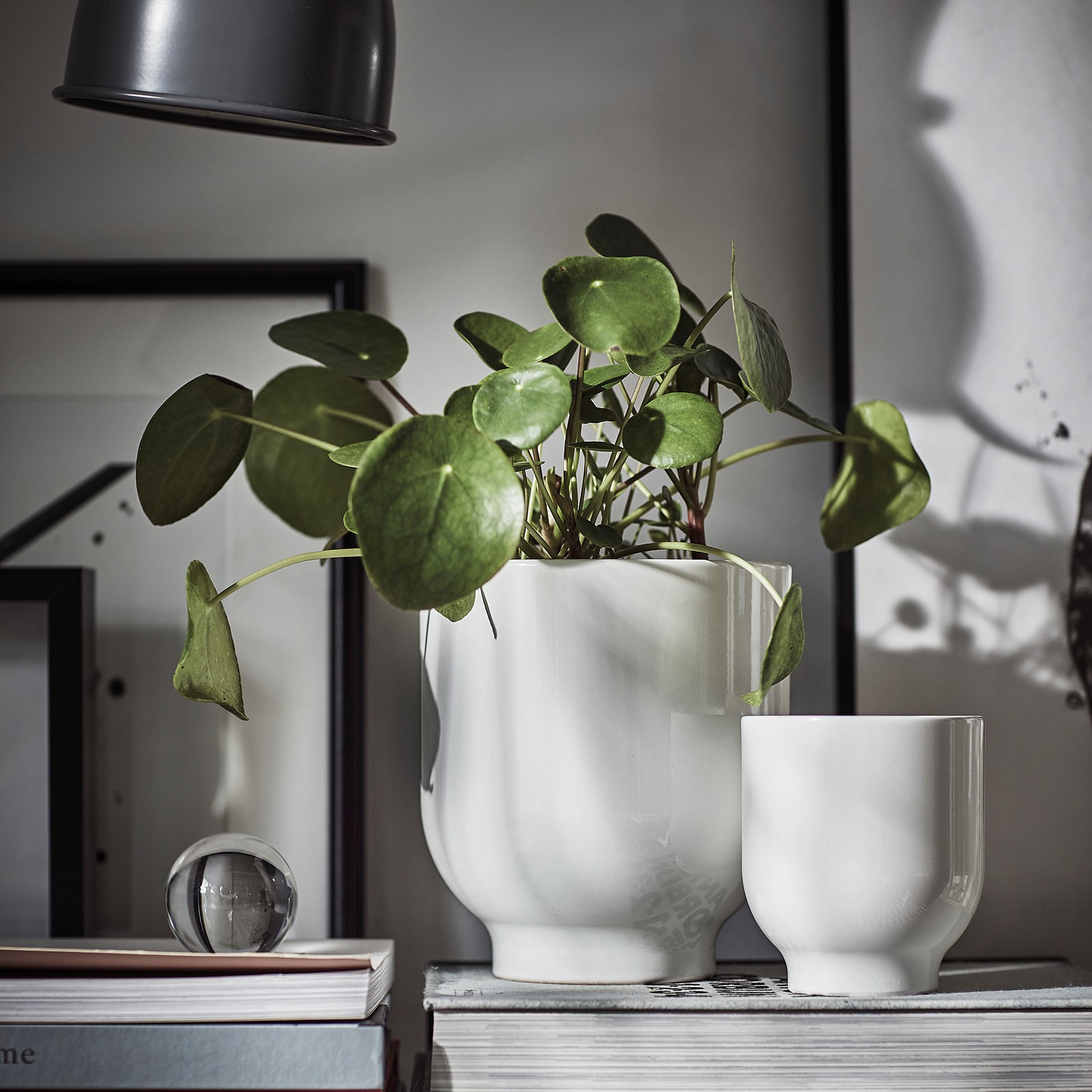 DRÖMSK Plant pot, white, 9 cm IKEA