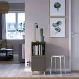Gray EKET bookcase with cactus, lamp, small beside door. Two plant posters on wall.