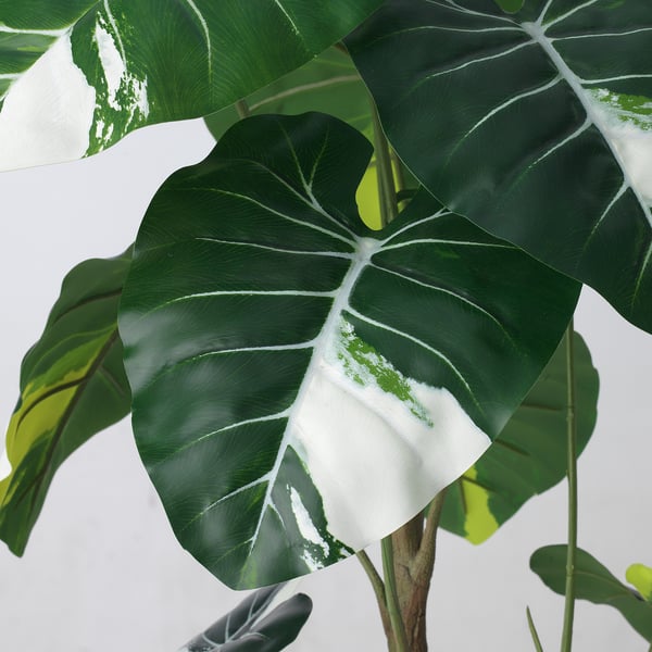 Large artificial leafy plant with green and white leaves, lifelike and fresh-looking, positioned indoors.