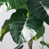 Large artificial leafy plant with green and white leaves, lifelike and fresh-looking, positioned indoors.