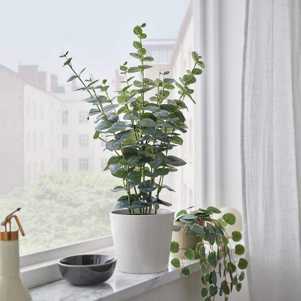 FEJKA Artificial potted plant, in/outdoor eucalyptus, 15 cm