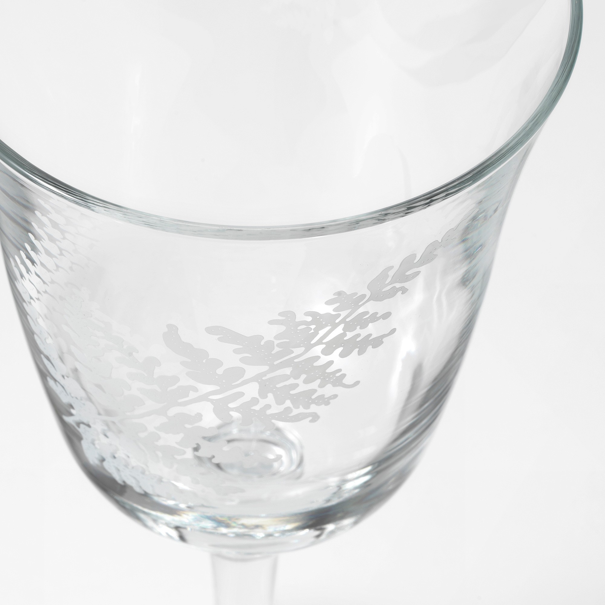 FRAMTRÄDA Wine glass, clear glass/fern, 30 cl IKEA