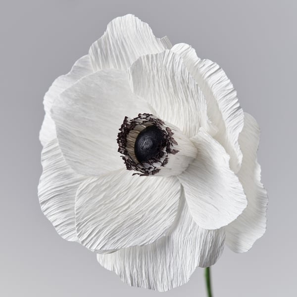 GULDSPETT Artificial flower, paper/Anemone white, 35 cm