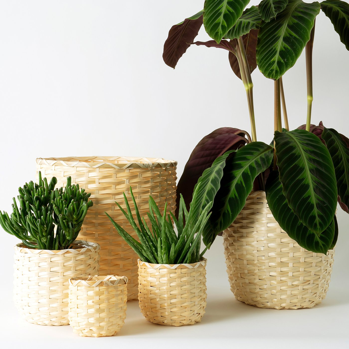 KAFFEBÖNA Plant pot, bamboo, 9 cm - IKEA