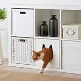 Cat entering wicker KALLAX shelving unit with bottles on top.
