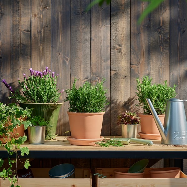 Rustic wooden shelf with terracotta plants, tools, and purple flowers.