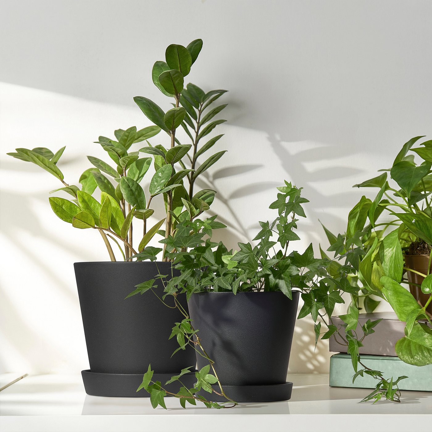 SMULGUBBE plant pot with saucer, in/outdoor black, 12 cm - IKEA