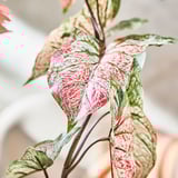 SMYCKA Artificial flower, in/outdoor caladium, 72 cm