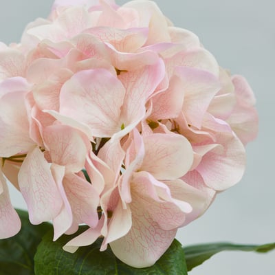 SMYCKA Artificial flower, in/outdoor/hydrangea pink, 55 cm