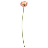 Single pastel pink poppy flower with green stem, hand-painted, reusable home decor.