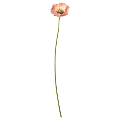Single pastel pink poppy flower with green stem, hand-painted, reusable home decor.